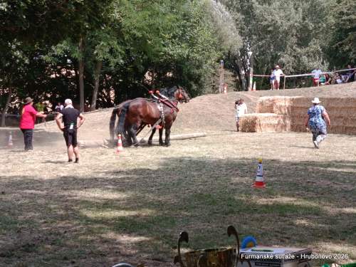 IMG_20260801_131644